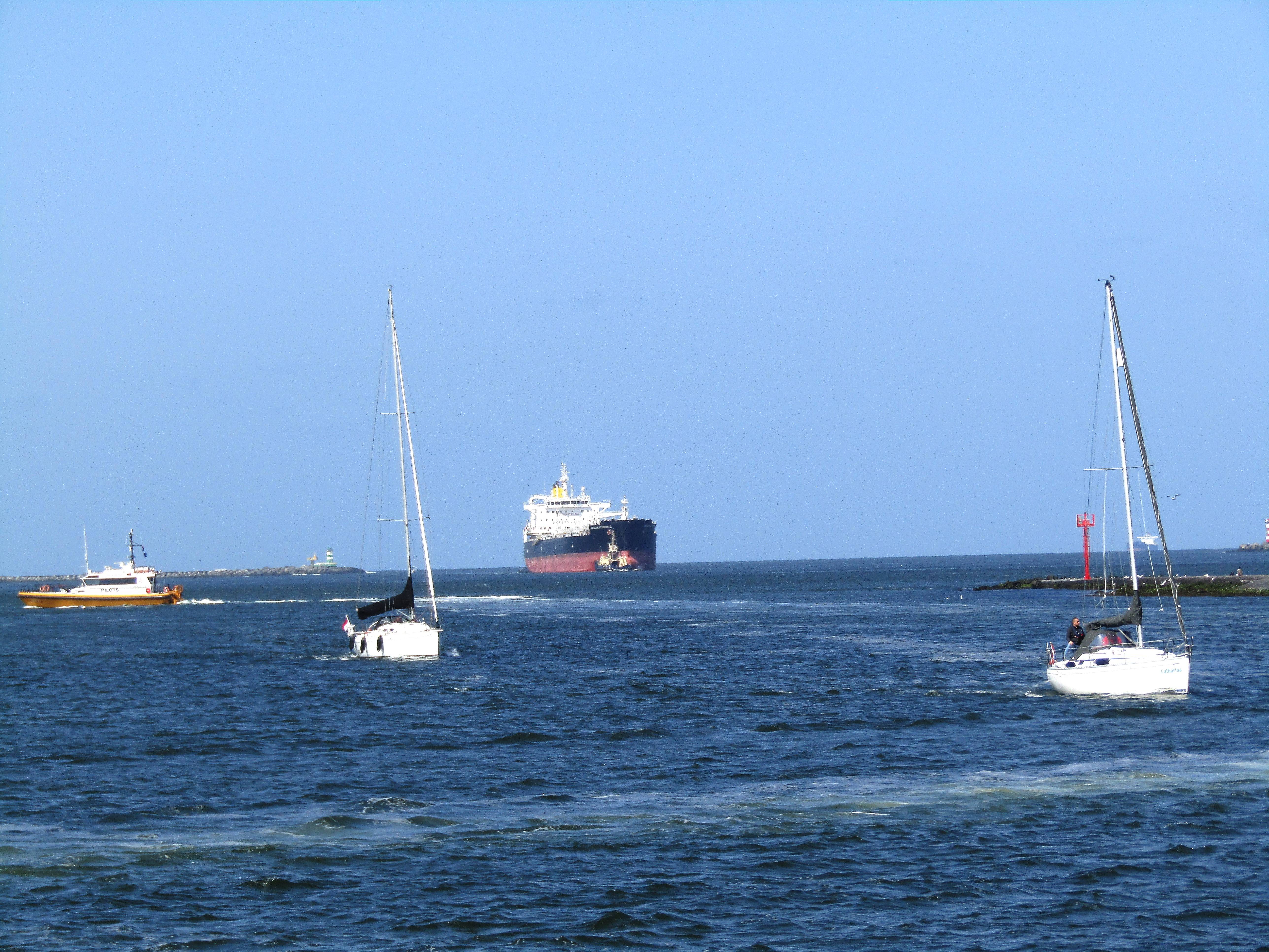 Pieren IJmuiden   26-05-23 